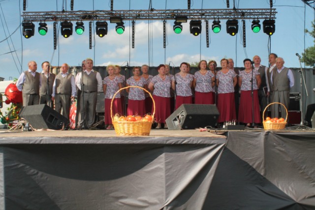 2014.08.10._festyn_pomidorowy_171_[640x480].jpg